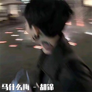 神武电炫 (DJ版)