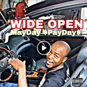 Wide Open (Shark) (Radio Edit) [Explicit]