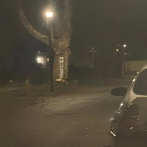 buddah reincarnated (feat. G-Libra) (Explicit)