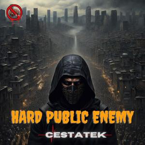 Hard Public Enemy