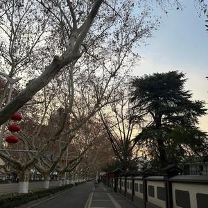 want your attention (feat. manni ✰ & riensu) (Explicit)