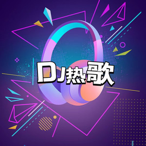 全民社会摇 (DJ版)封面