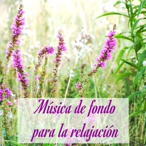 Música de fondo para la relajación – Instrumental music con sonidos de la naturaleza para la concentración