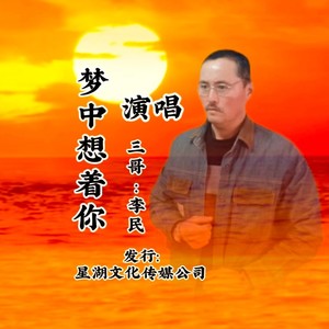 我在梦中想着你