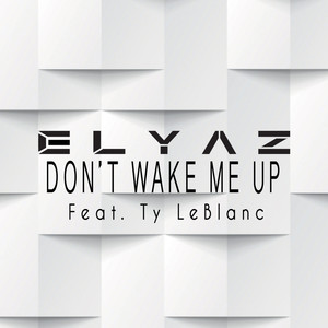Don't Wake Me Up (Instrumental Mix)