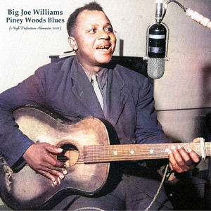 Big Joe Williams - Shetland Pony Blues (Remastered 2022)