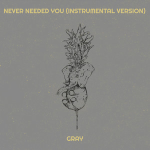 Never Needed You (Instrumental Version)
