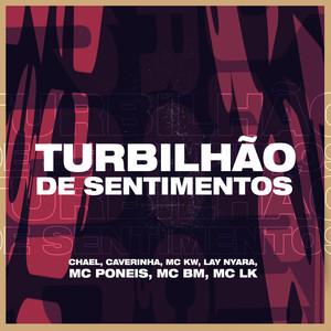 Turbilhão de Sentimentos (Explicit)