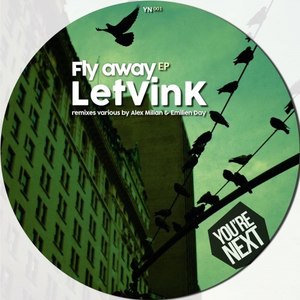 Shaking (Original Mix)