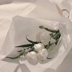 why would i ever-洛里嗒