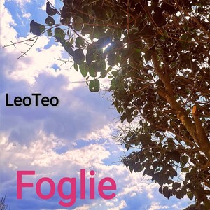 Foglie