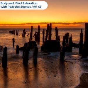 Body And Mind Relaxation With Peaceful Sounds, Vol. 03