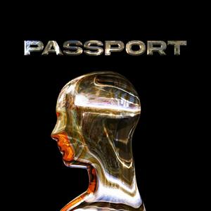 ALBUM PASSPORT  ((slowed + reverb))