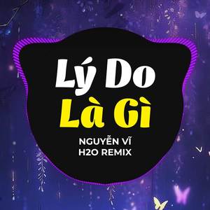 Lý Do Là Gì (Remix)