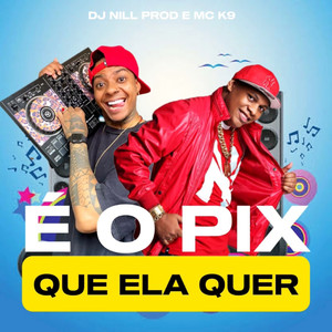 É o Pix Que Ela Quer (Explicit)