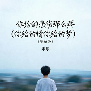 你给的悲伤那么疼（你给的情你给的梦） (男童版)