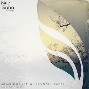 Templar (Original Mix)