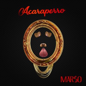 Acaraperro