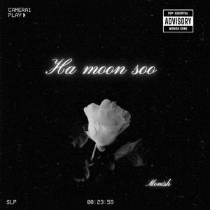 Ha moon soo