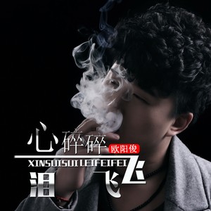 心碎碎泪飞飞 (DJ何鹏版)封面