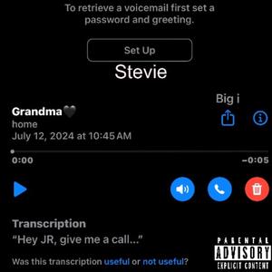 Stevie (Explicit)