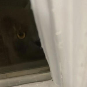 Nocturnal (Explicit)