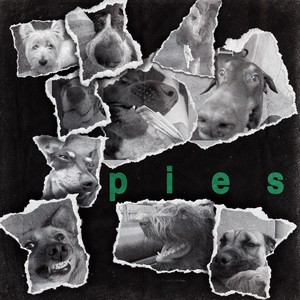 pies