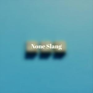 None Slang