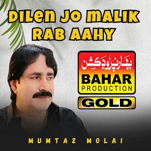 Dilen Jo Malik Rab Aahy