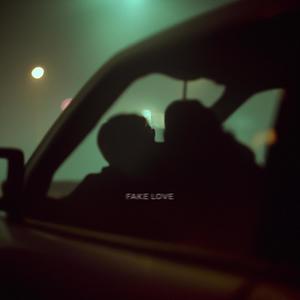 Fake Love