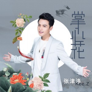 掌心花 (伴奏)封面