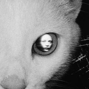 fall with me one last time