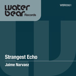 Strangest Echo (DaVoid Remix)