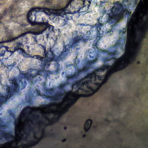 Inward Bound (Original Mix)