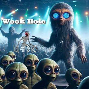 Wook Hole (Explicit)