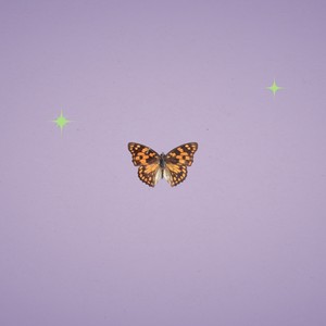 Not with Me (Twin Cities Remix|Explicit)