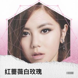 红蔷薇白玫瑰 (COVER版)