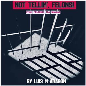 NOT TELLIN', FELONS!