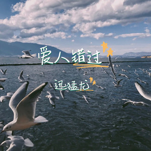 迅猛龙 - 葡萄成熟时 (动人版)