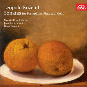 Monika Knoblochová - Sonata in C major, IX:32: II. Andante