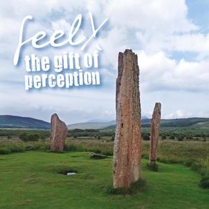 The gift of perception(feat. Samuel Hällkvist, Luca Calabrese, Dédé Felix & Nicolas Winter)