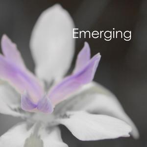 Emerging