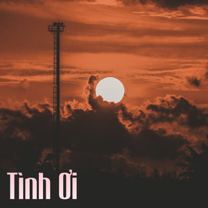 Tình Ơi