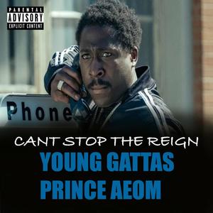 Cant stop the Reign (feat. Young Gattas) [Explicit]