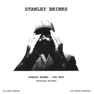 Stanley Brinks