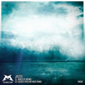 Secrecy (Phuture Noize Remix)