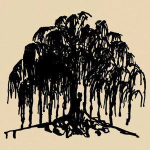 Willow(feat. Don Reed & Zema Bagirova)