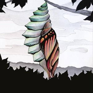 Chrysalis
