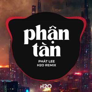 Phận Tàn (Remix)