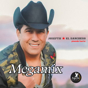 Megamix